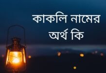 কাকলি নামের অর্থ কি