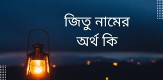 জিতু নামের অর্থ কি
