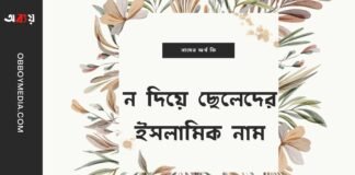 ন দিয়ে ছেলেদের ইসলামিক নাম (N diye meyeder islamic name)