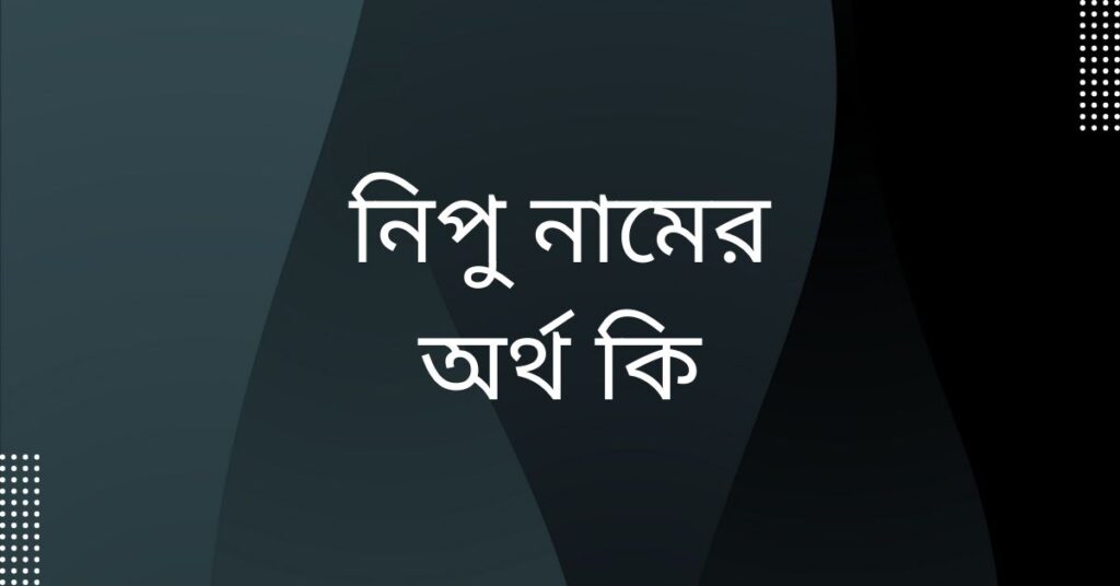 নিপু নামের অর্থ 