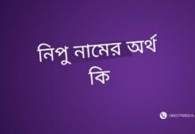 নিপু নামের অর্থ কি | যে অর্থটি অন্য কোথাও নেই (নামটি রাখার আগে দেখুন) নিপু নামের অর্থ কি