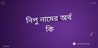 নিপু নামের অর্থ কি