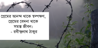 বেদনার উক্তি