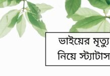 ভাইয়ের মৃত্যু নিয়ে স্ট্যাটাস