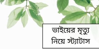ভাইয়ের মৃত্যু নিয়ে স্ট্যাটাস