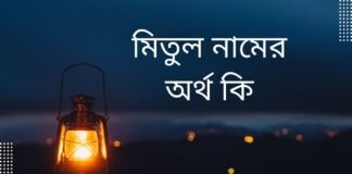 মিতুল নামের অর্থ কি