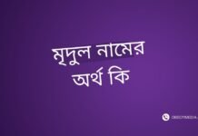 মৃদুল নামের অর্থ কি