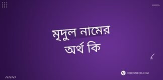 মৃদুল নামের অর্থ কি