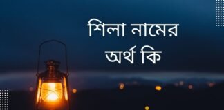 শিলা নামের অর্থ কি