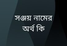 সঞ্জয় নামের অর্থ কি