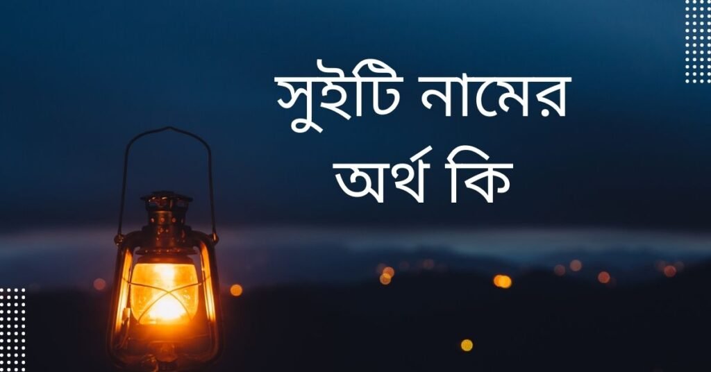 সুইটি নামের অর্থ কি | যে কারনে এই নামটি রাখলে উন্নতি নিশ্চিত দেখুন সুইটি নামের অর্থ