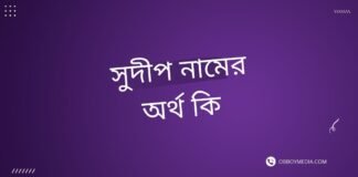 সুদীপ নামের অর্থ কি