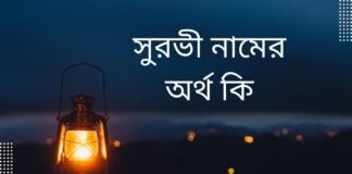 সুরভী নামের অর্থ কি