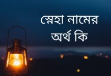 স্নেহা নামের অর্থ কি (বাংলা ও আরবি অর্থ সহ সব জানুন) স্নেহা নামের অর্থ কি