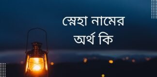 স্নেহা নামের অর্থ কি