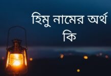 হিমু নামের অর্থ কি