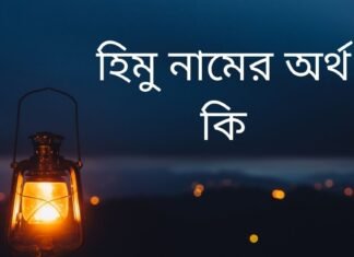 হিমু নামের অর্থ কি
