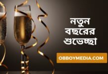 নতুন বছরের শুভেচ্ছা ২০২৩ (এসএমএস, স্ট্যাটাস, কবিতা, পিক)