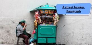 a street hawker paragraph