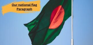 our national flag paragraph