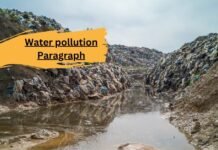 water pollution paragraph (বাংলা অর্থসহ) এটি লিখলে স্যার ফুল মার্ক দিবেই water pollution paragraph