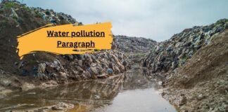 water pollution paragraph