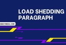 Load Shedding Paragraph