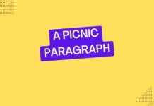 a picnic paragraph