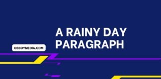 a rainy day paragraph