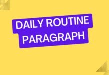 daily routine paragraph