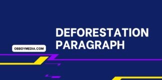 deforestation paragraph