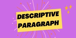 descriptive paragraph