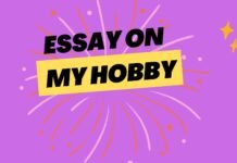 essay on my hobby ( বাংলা অর্থ সহ – সহজ ভাষায় ) কয়েক পড়াতেই মুখস্ত হবে essay on my hobby