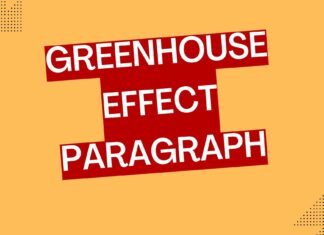 greenhouse effect paragraph