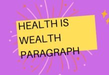 health is wealth paragraph