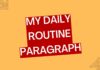 my daily routine paragraph