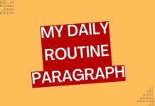 my daily routine paragraph