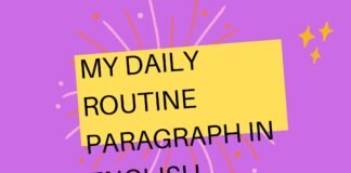 my daily routine paragraph in english