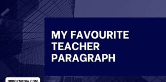 my favourite teacher paragraph