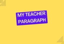 my teacher paragraph