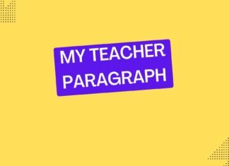 my teacher paragraph