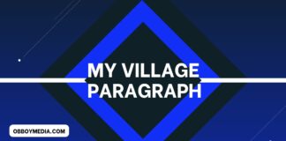 my village paragraph