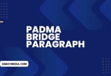 padma bridge paragraph (বাংলা অর্থসহ) এটি লিখলে স্যার ফুল মার্ক দিবেই padma bridge paragraph