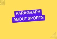 paragraph about sports
