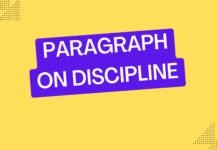 paragraph on discipline
