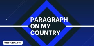 paragraph on my country
