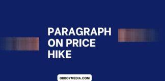 paragraph on price hike