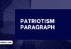patriotism paragraph
