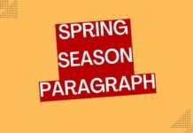 spring season paragraph