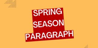 spring season paragraph